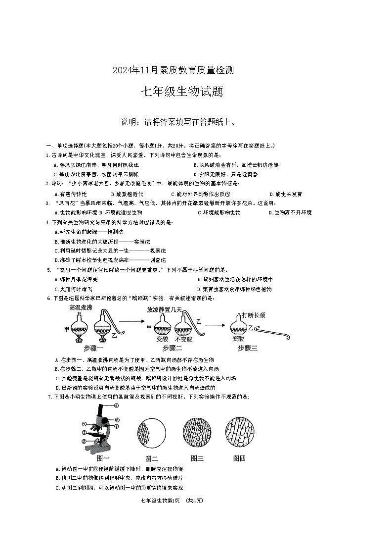 2024年11月素质教育质量检测生物试题第1页
