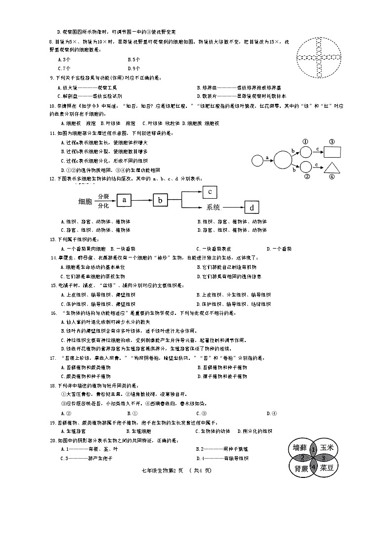 2024年11月素质教育质量检测生物试题第2页