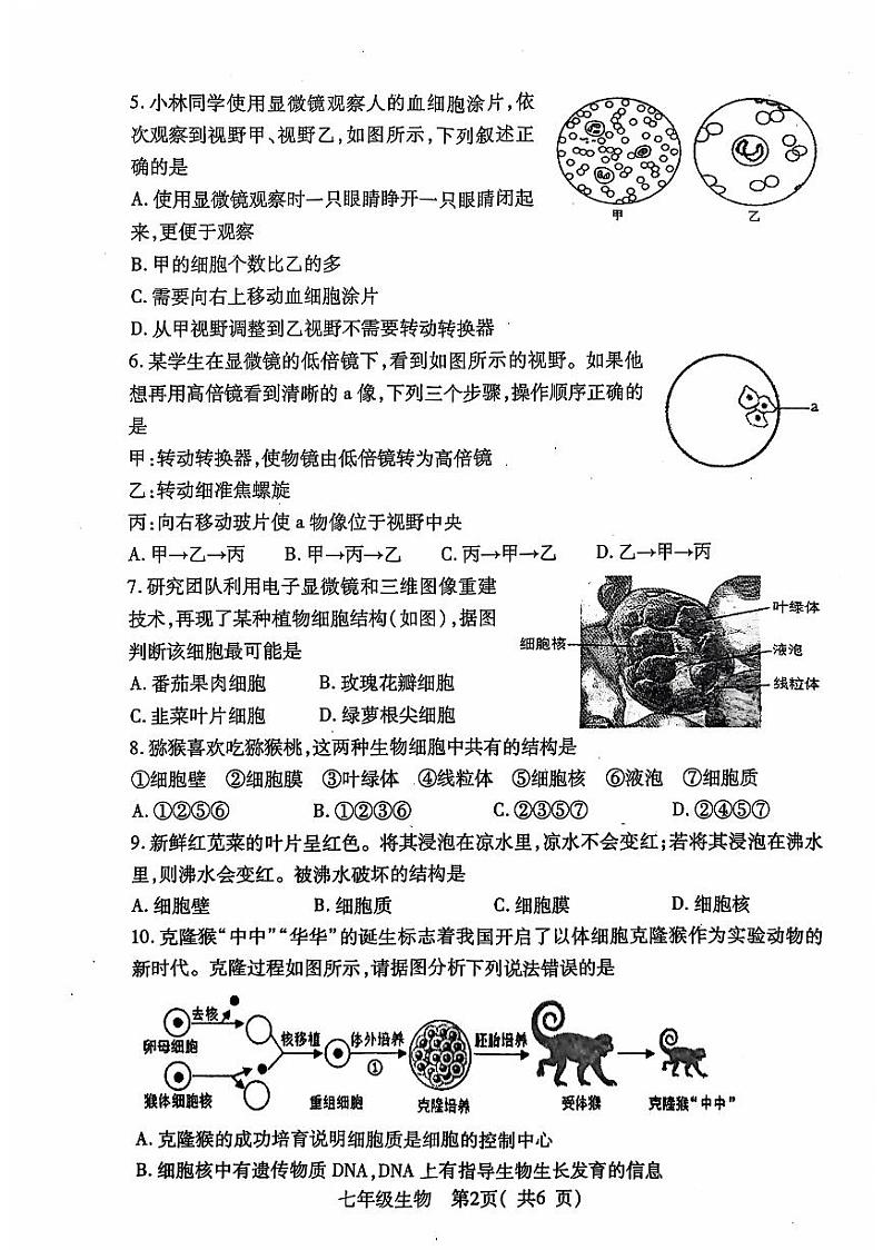 河南省邓州市2024—2025学年七年级上学期期中考试生物试卷第2页