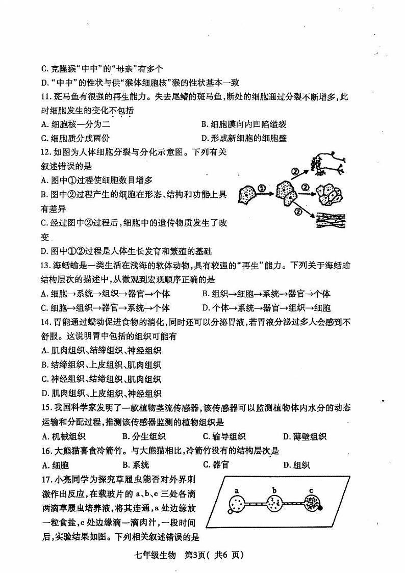 河南省邓州市2024—2025学年七年级上学期期中考试生物试卷第3页