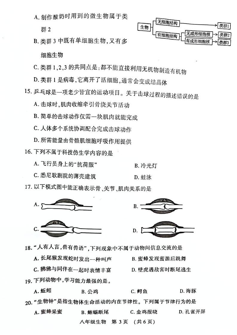 河南省宜阳县2024-2025学年八年级上学期期中考试生物试题含答案第3页
