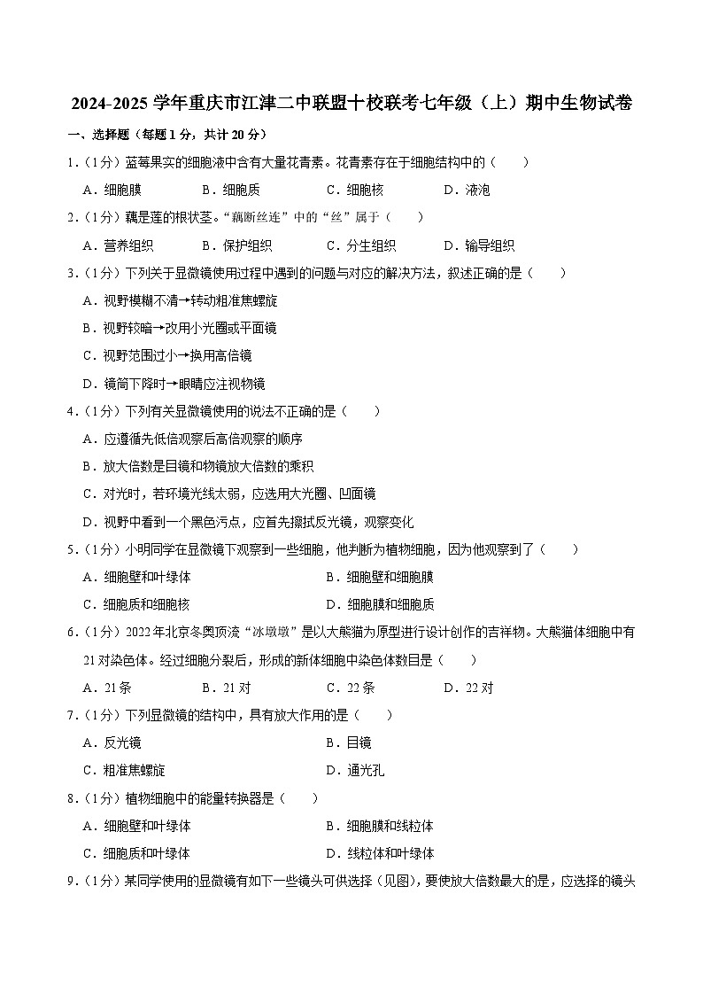 重庆市江津第二中学联盟十校联考2024-2025学年七年级上学期期中测试生物试题第1页