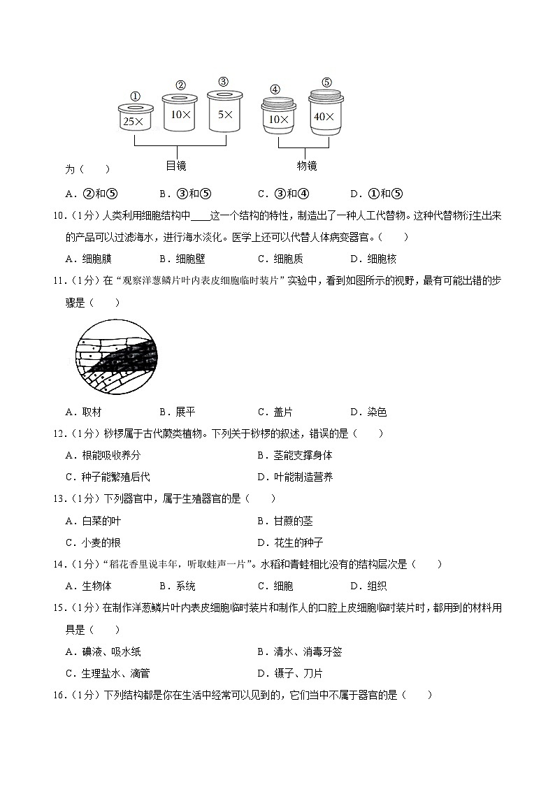 重庆市江津第二中学联盟十校联考2024-2025学年七年级上学期期中测试生物试题第2页