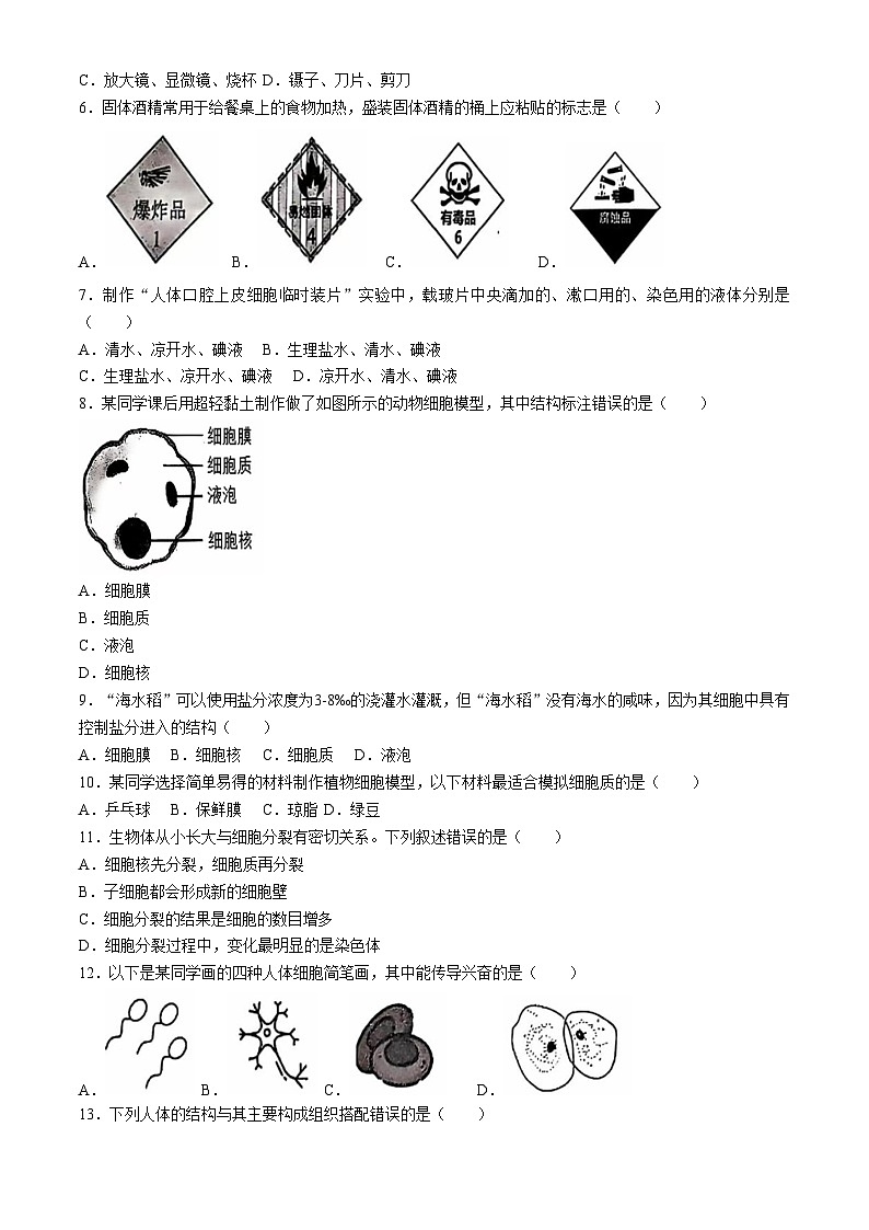 云南省大理州下关一中初中部教育集团2024-2025学年七年级上学期期中生物试题02