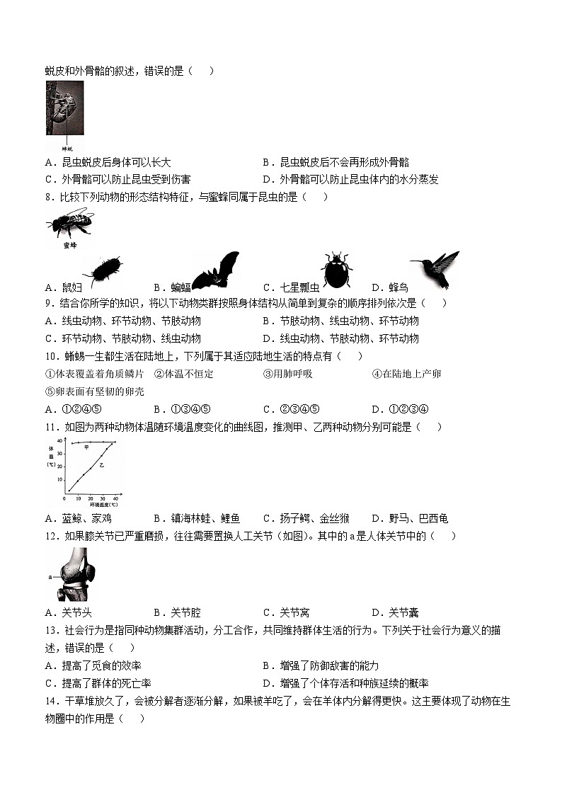 山西省太原市2024-2025学年八年级上学期期中生物试题第2页