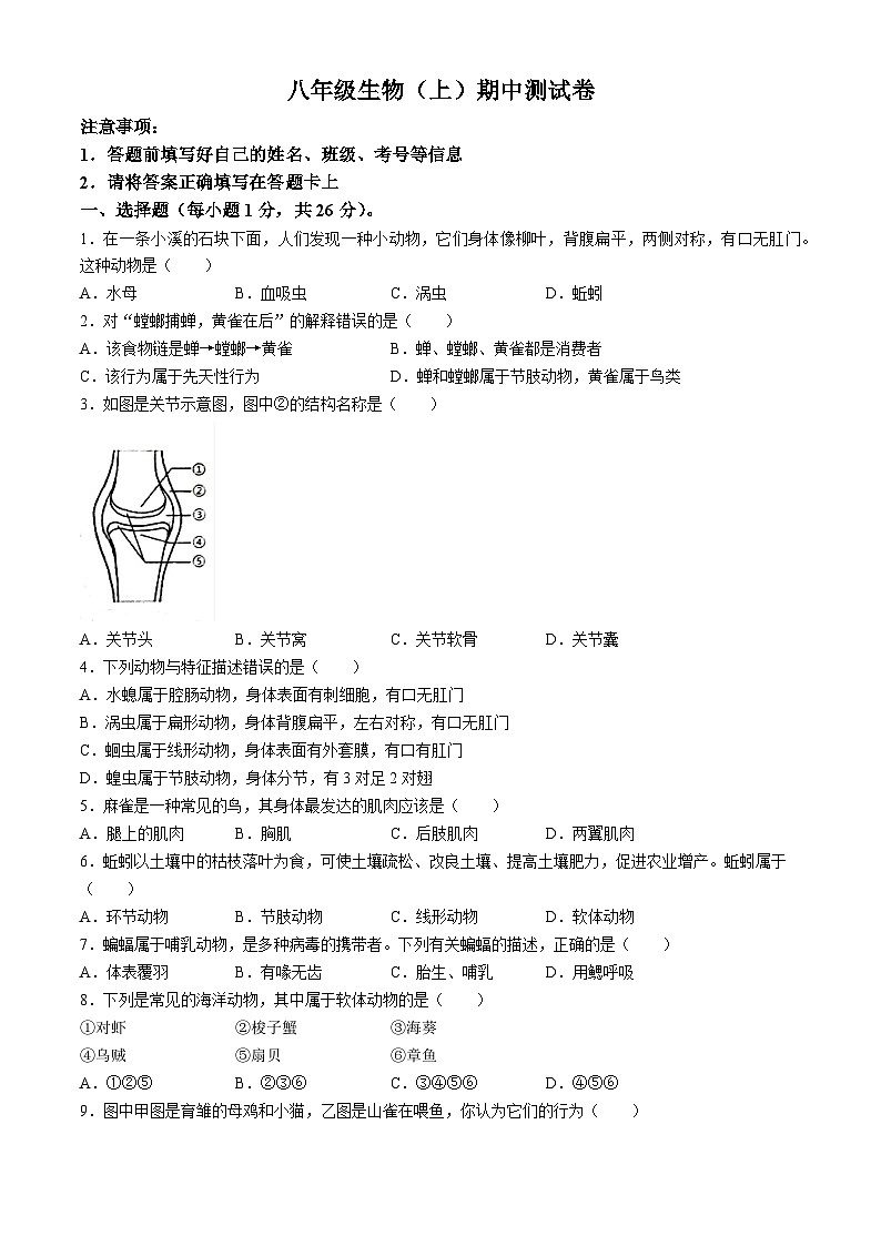 江西省抚州市东乡区2024-2025学年八年级上学期期中生物试题01
