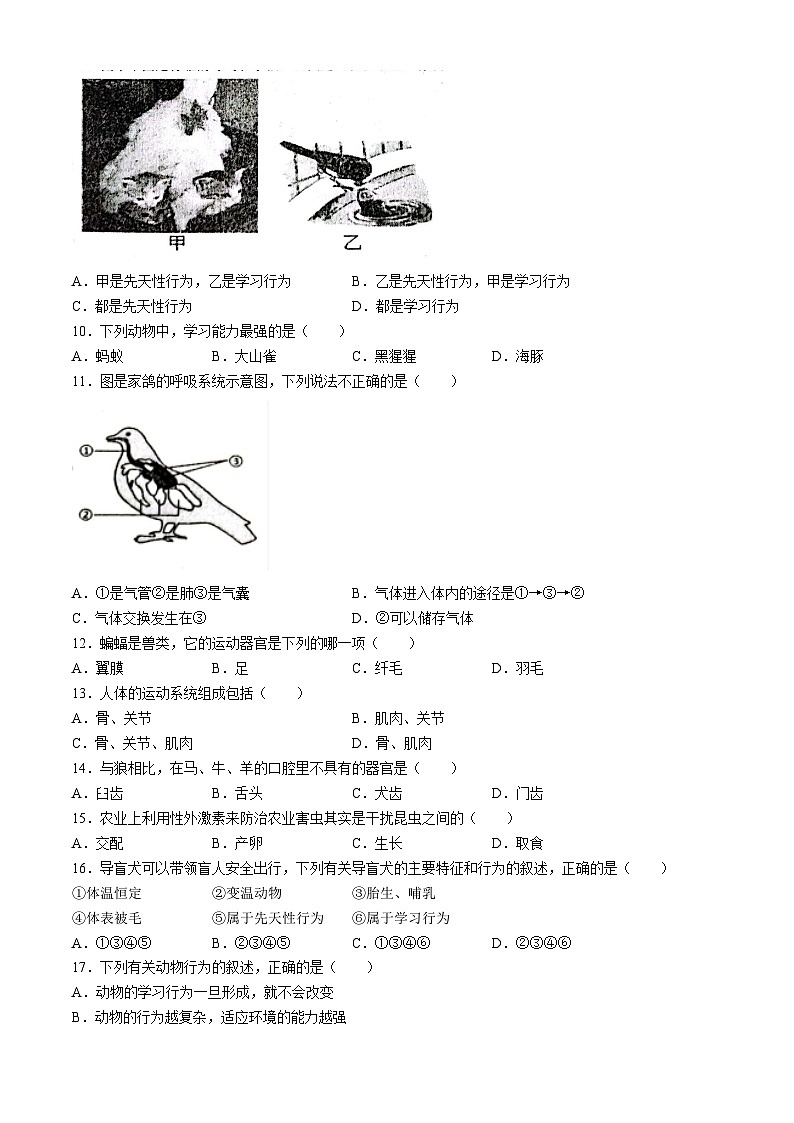 江西省抚州市东乡区2024-2025学年八年级上学期期中生物试题02