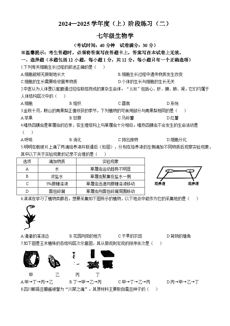 辽宁省葫芦岛市连山区2024-2025学年七年级上学期期中生物试题(无答案)01