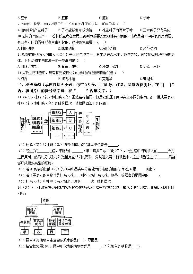 辽宁省葫芦岛市连山区2024-2025学年七年级上学期期中生物试题(无答案)02