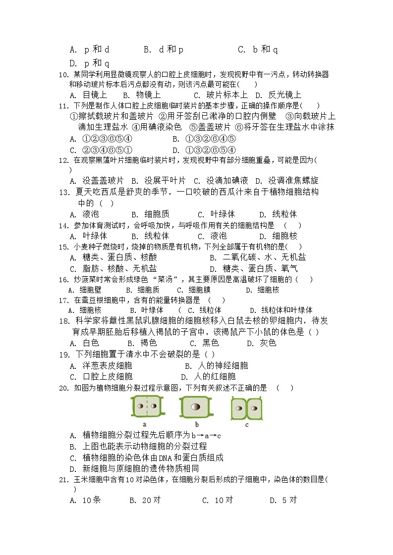 湖南省衡阳市四校2024-2025学年七年级上学期11月期中考试生物试题第2页