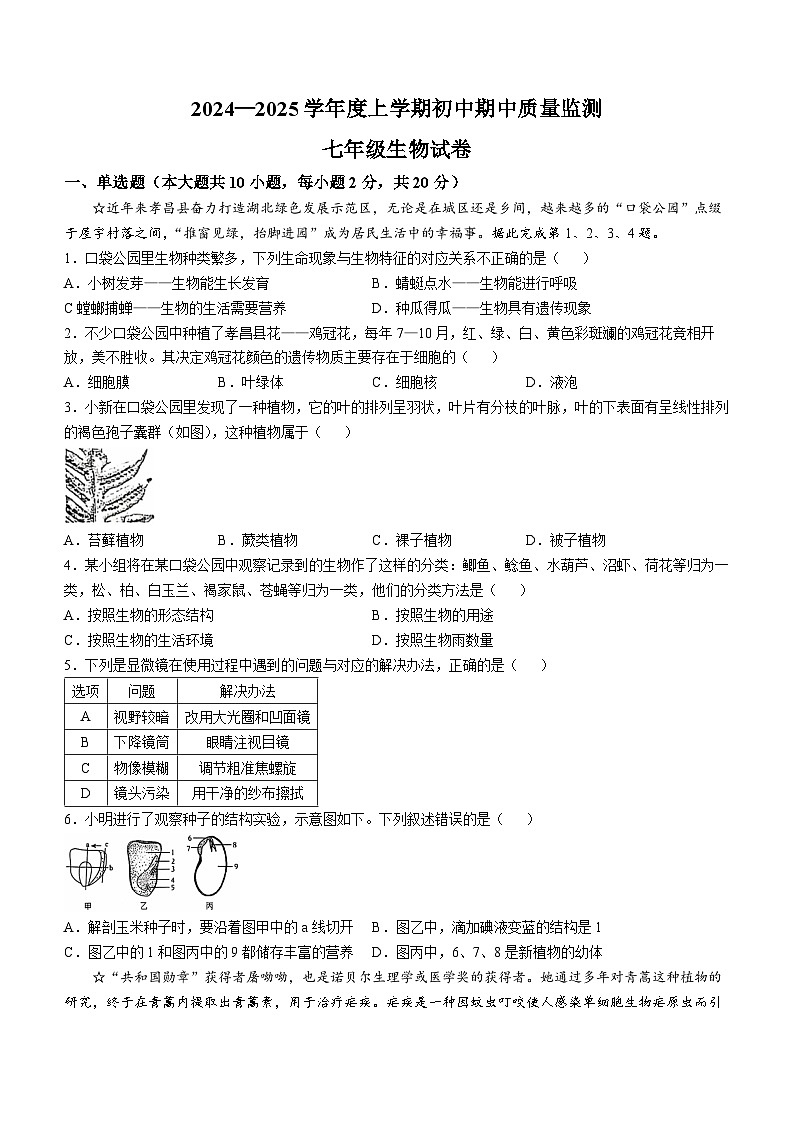湖北省孝感市孝昌县2024-2025学年七年级上学期期中生物试题第1页