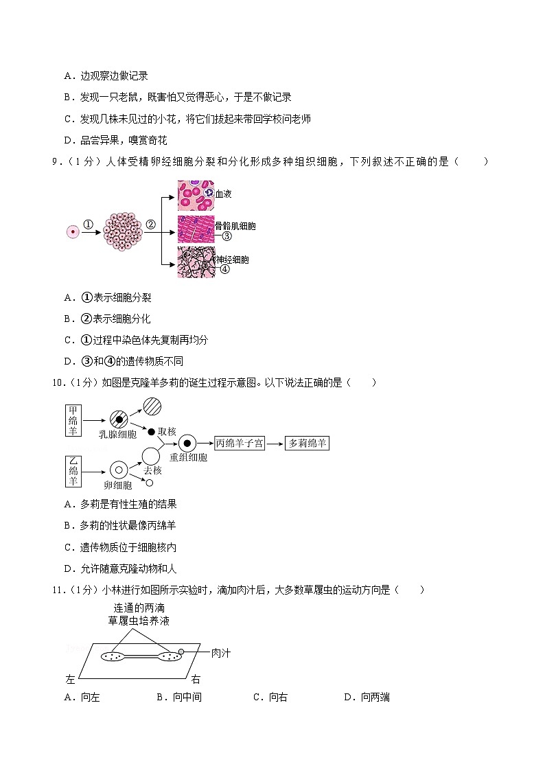 广东省深圳市宝安区七校联考2024-2025学年七年级上学期期中考试生物试卷02