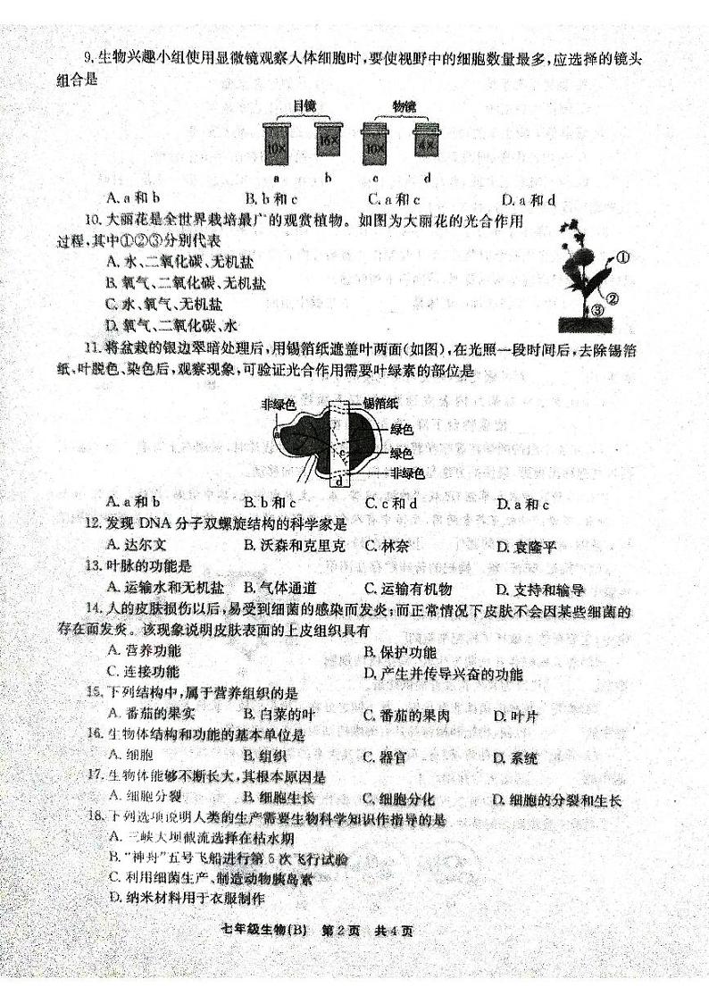 河南省林州市2024-2025学年七年级上学期期中考试生物试卷第2页