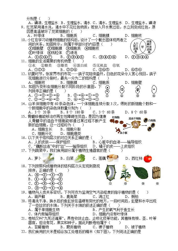 湖南省张家界市永定区2024-2025学年七年级上学期期中考试生物试题第2页