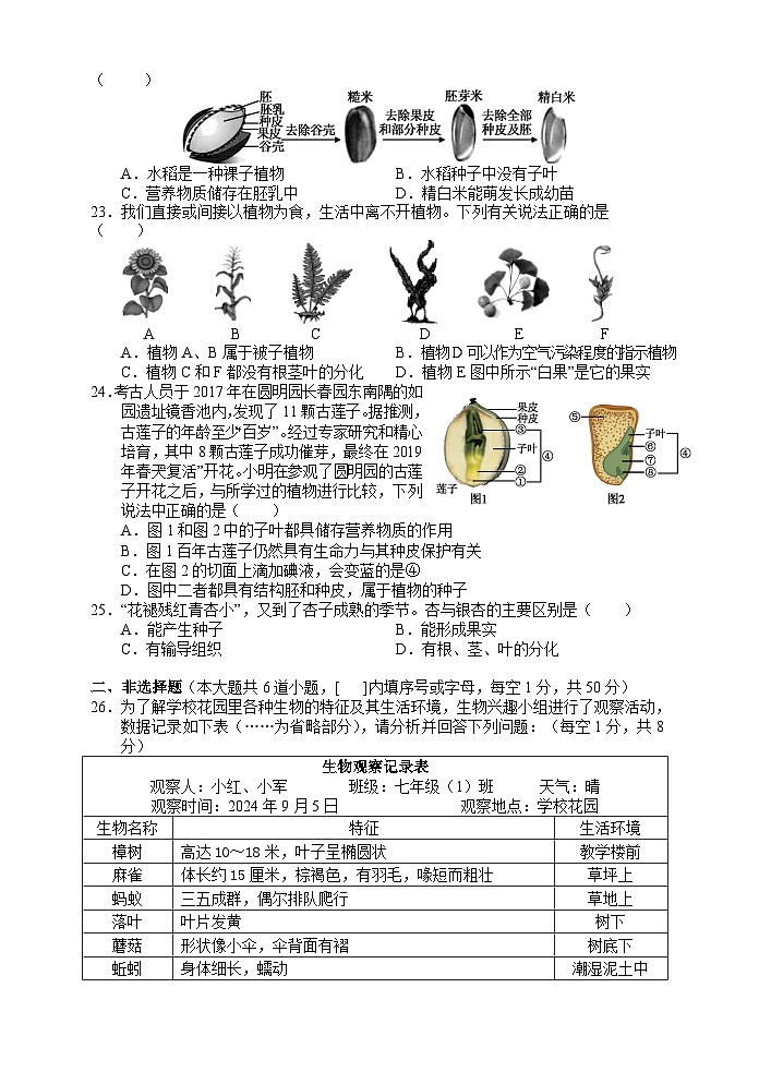 湖南省张家界市永定区2024-2025学年七年级上学期期中考试生物试题第3页