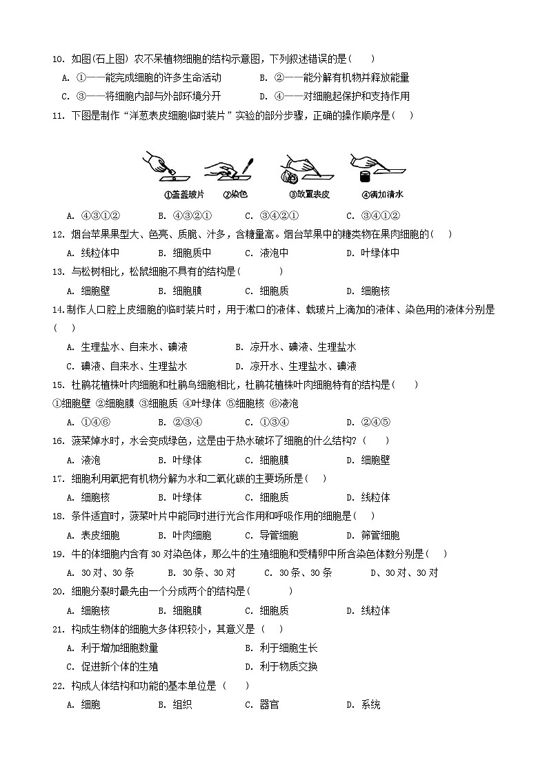广东省汕头市潮南区2024-2025学年七年级上学期期中考试生物试题第2页