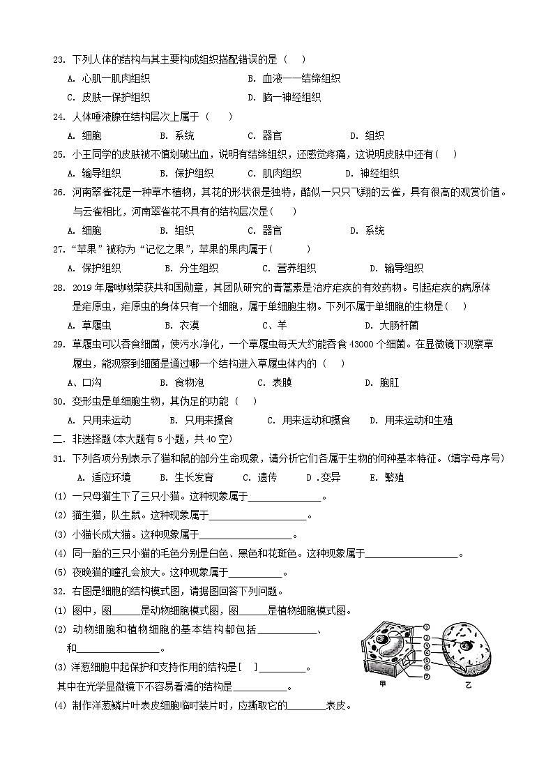 广东省汕头市潮南区2024-2025学年七年级上学期期中考试生物试题第3页