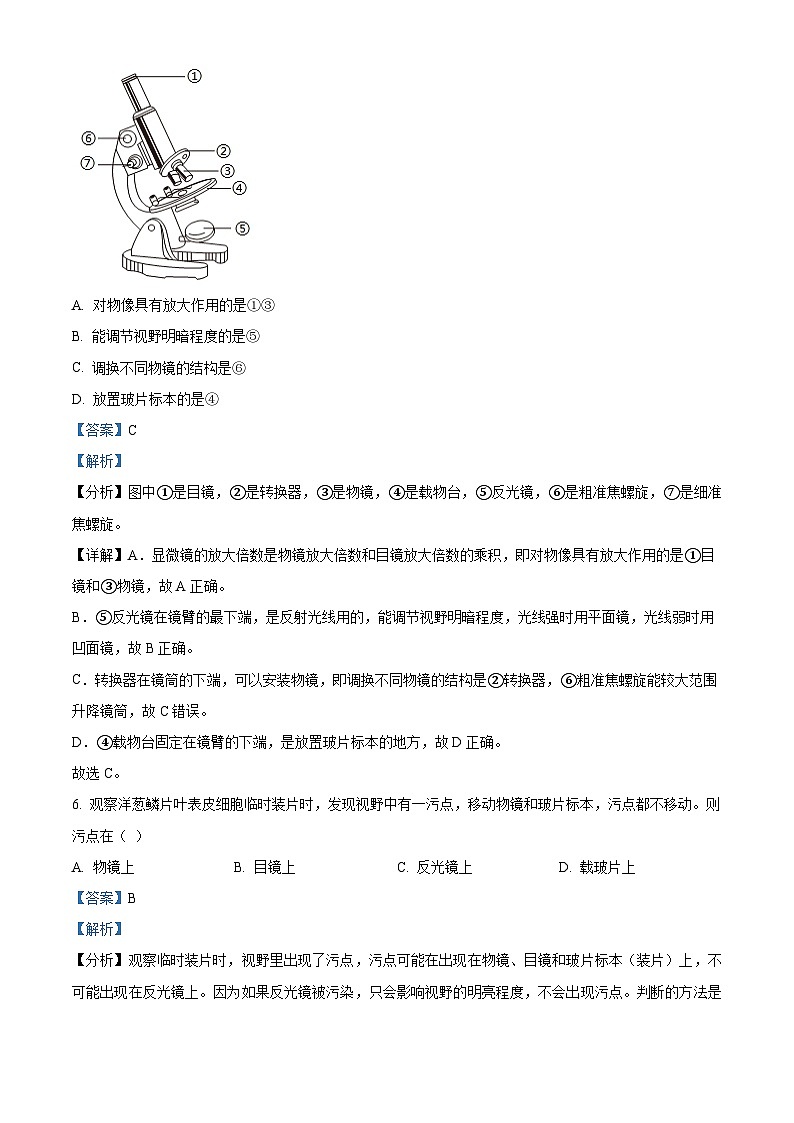 广东省广州市真光中学2024-2025学年七年级上学期期中生物试题（解析版）第3页