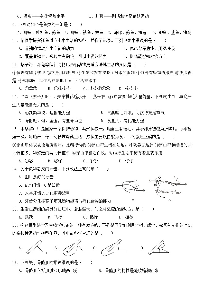 湖南省怀化市溆浦县第一中学2024-2025学年八年级上学期11月期中生物试题第2页