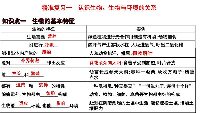 2025年中考生物一轮复习考点通关精讲课件专题01 认识生物、生物与环境的关系（含答案）第1页