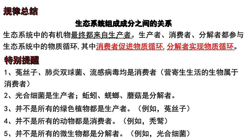 2025年中考生物一轮复习考点通关精讲课件专题02 生态系统和生物圈（含答案）第3页