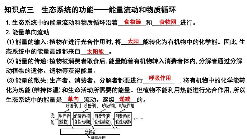 2025年中考生物一轮复习考点通关精讲课件专题02 生态系统和生物圈（含答案）第6页