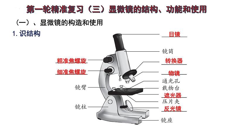2025年中考生物一轮复习考点通关精讲课件专题03 显微镜的结构、功能和使用（含答案）第1页