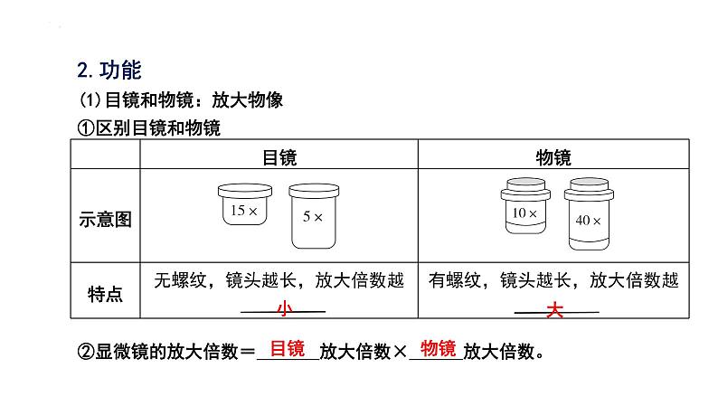 2025年中考生物一轮复习考点通关精讲课件专题03 显微镜的结构、功能和使用（含答案）第2页