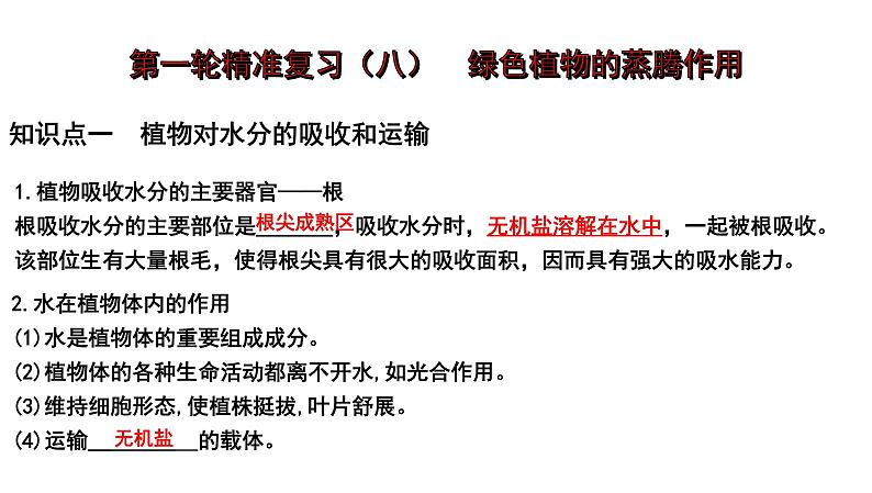 2025年中考生物一轮复习考点通关精讲课件专题08 绿色植物的蒸腾作用（含答案）第1页