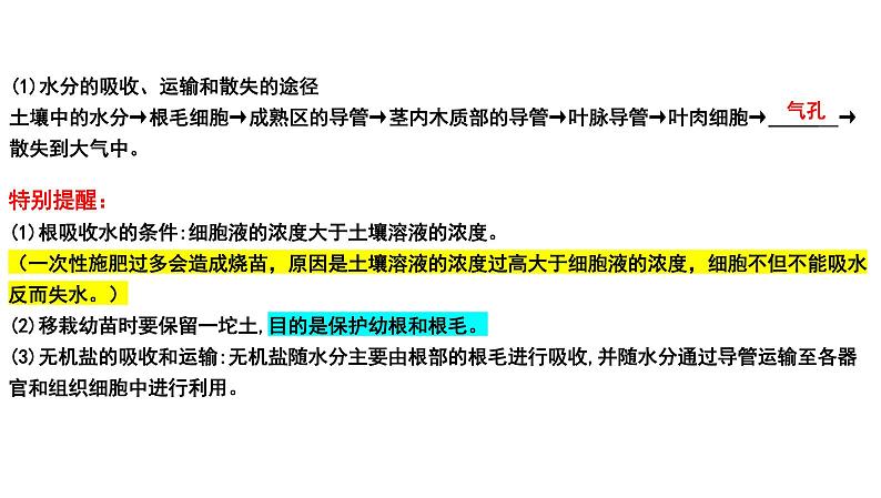 2025年中考生物一轮复习考点通关精讲课件专题08 绿色植物的蒸腾作用（含答案）第3页