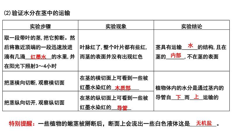 2025年中考生物一轮复习考点通关精讲课件专题08 绿色植物的蒸腾作用（含答案）第4页