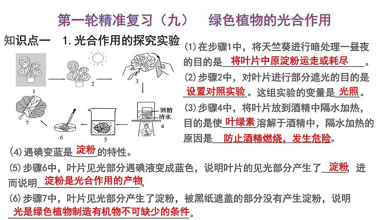 2025年中考生物一轮复习考点通关精讲课件专题09 绿色植物的光合作用（含答案）第1页