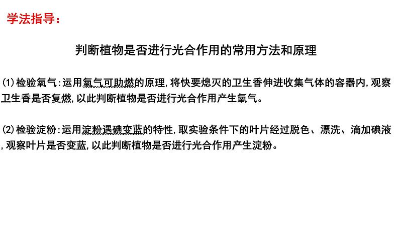 2025年中考生物一轮复习考点通关精讲课件专题09 绿色植物的光合作用（含答案）第5页