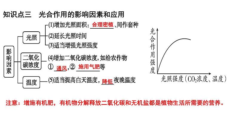 2025年中考生物一轮复习考点通关精讲课件专题09 绿色植物的光合作用（含答案）第8页