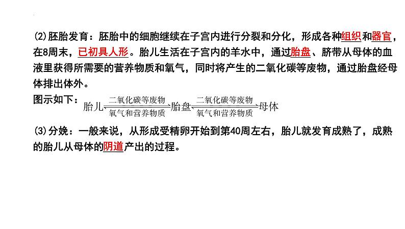 2025年中考生物一轮复习考点通关精讲课件专题11 人的由来（含答案）第8页