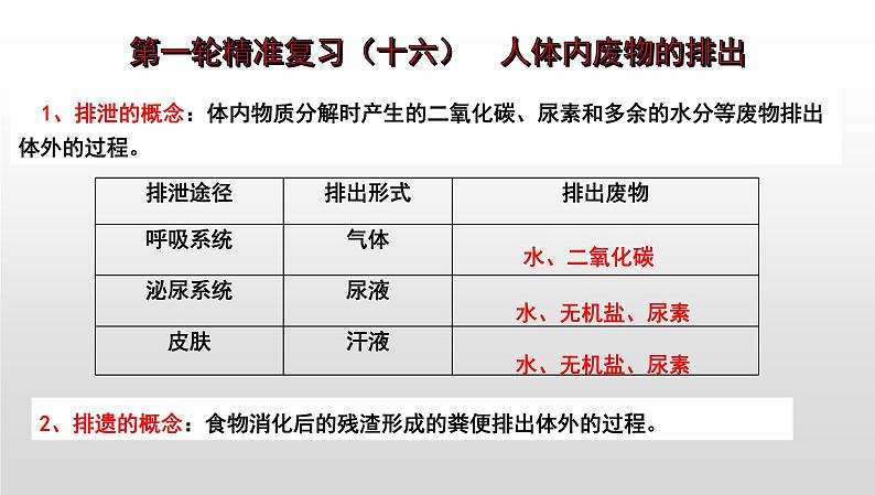 2025年中考生物一轮复习考点通关精讲课件专题16 人体内废物的排出（含答案）第1页