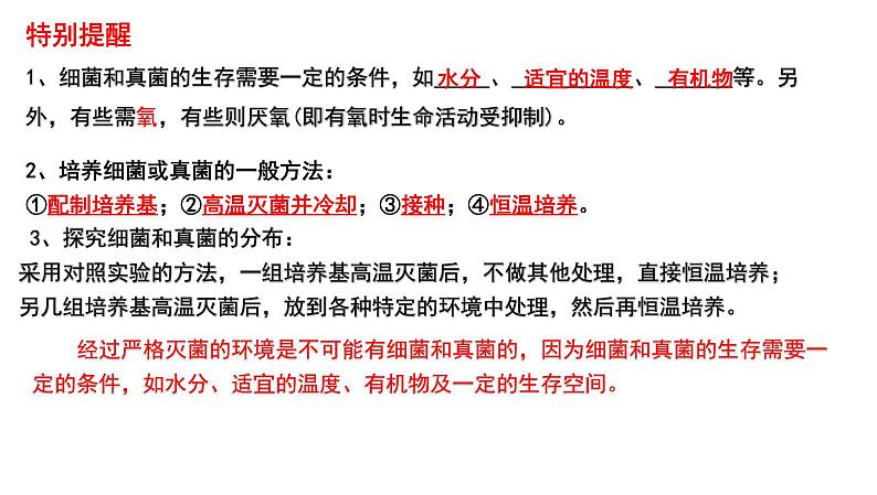 2025年中考生物一轮复习考点通关精讲课件专题19 生物圈中的微生物（含答案）第2页