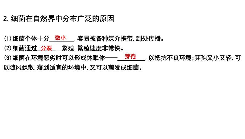 2025年中考生物一轮复习考点通关精讲课件专题19 生物圈中的微生物（含答案）第3页