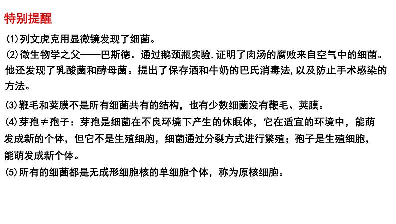 2025年中考生物一轮复习考点通关精讲课件专题19 生物圈中的微生物（含答案）第7页