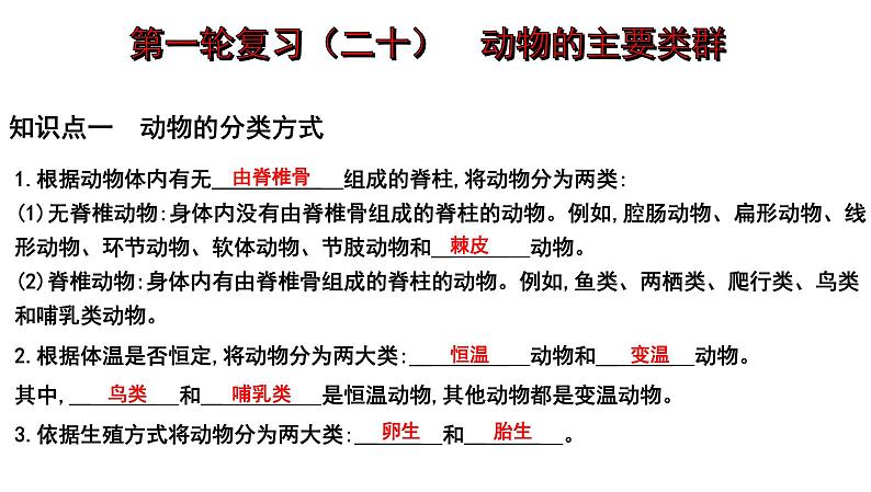 2025年中考生物一轮复习考点通关精讲课件专题20 动物的主要类群（含答案）第1页