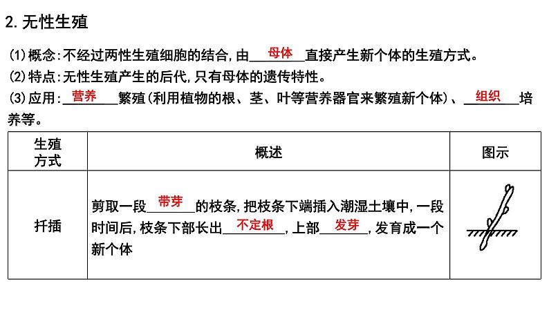 2025年中考生物一轮复习考点通关精讲课件专题22 生物的生殖和发育（含答案）第5页