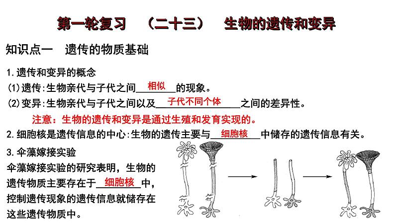 2025年中考生物一轮复习考点通关精讲课件专题23 生物的遗传和变异（含答案）第1页