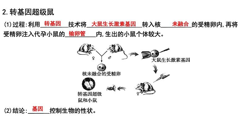 2025年中考生物一轮复习考点通关精讲课件专题23 生物的遗传和变异（含答案）第6页