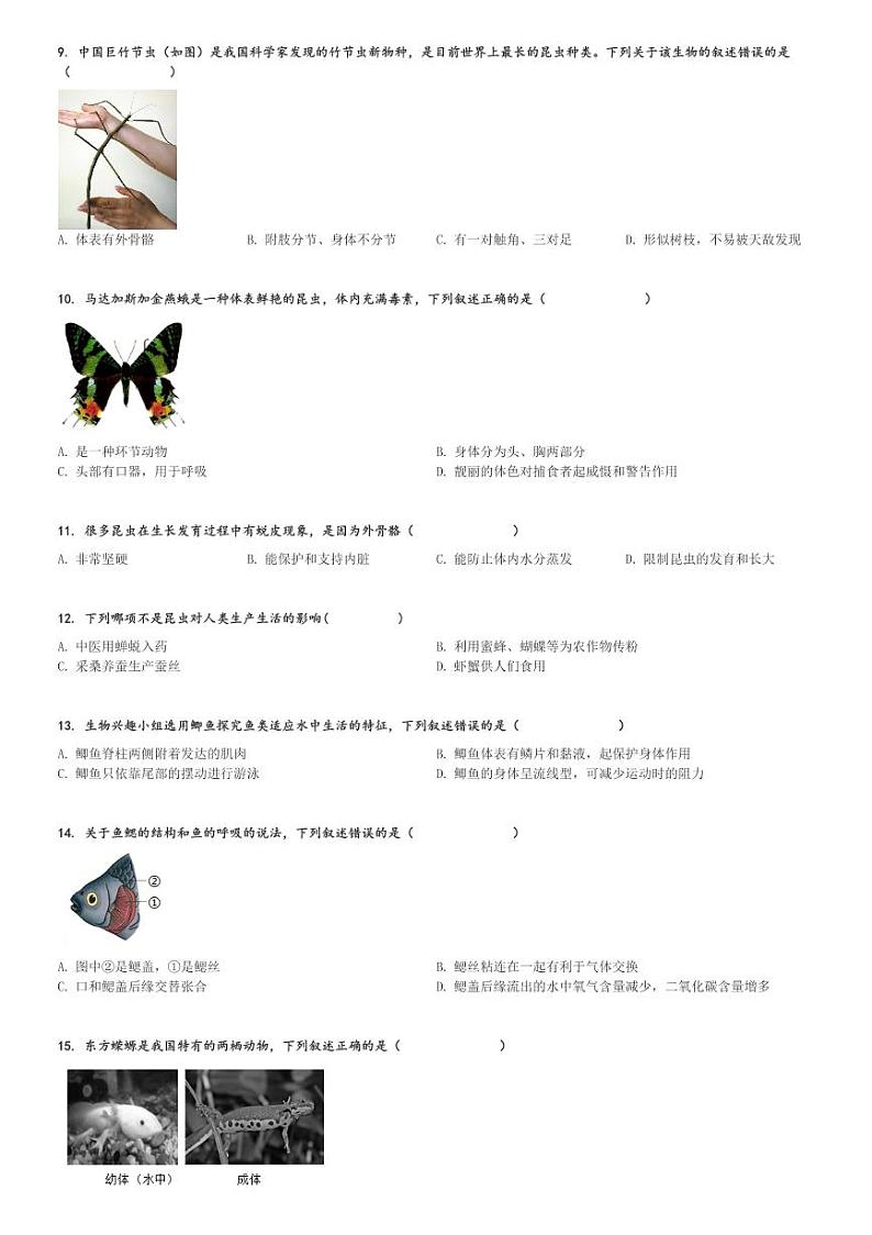 2024～2025学年北京东城区北京二中教育集团初二(上)期中生物试卷[原题+解析]第2页