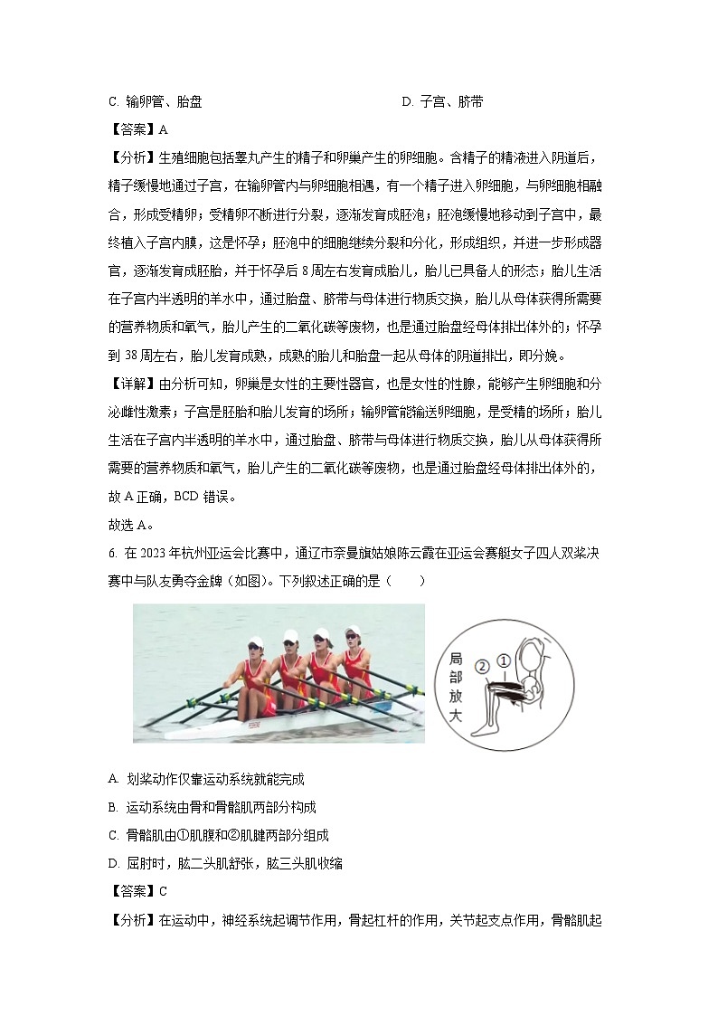 江苏省连云港市2023-2024学年八年级上学期期末生物试卷（解析版）第3页