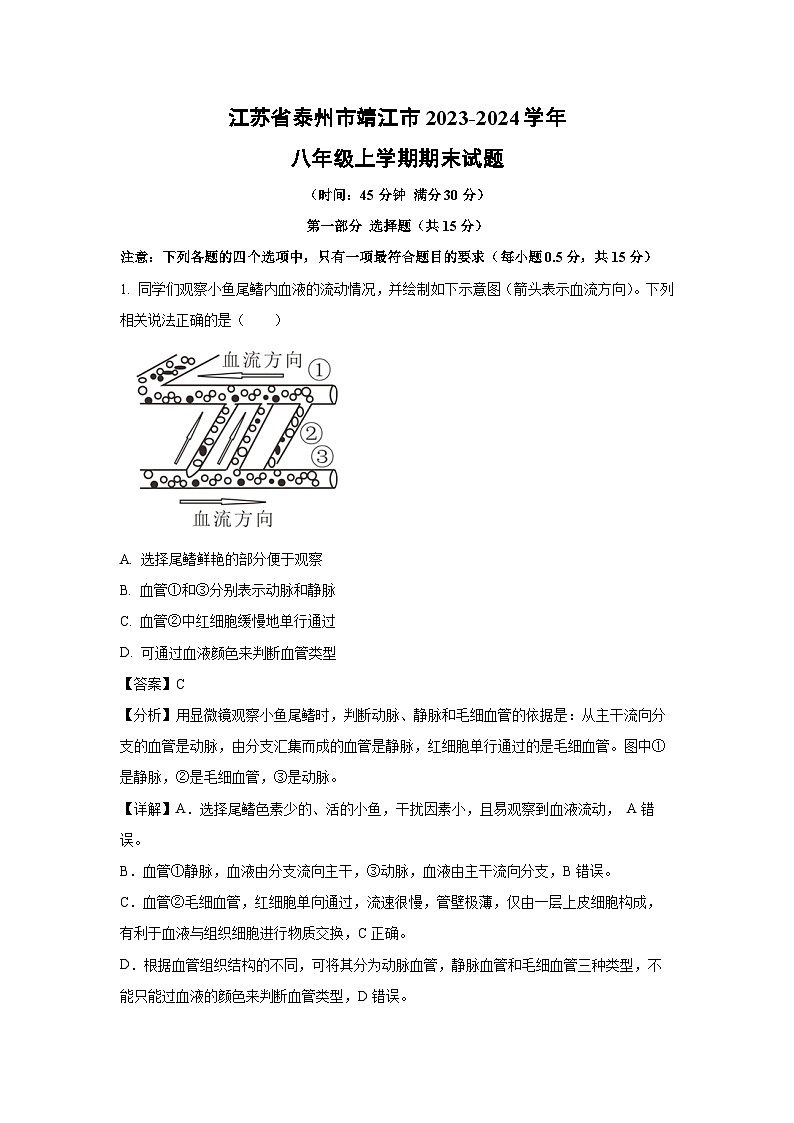 江苏省泰州市靖江市2023-2024学年八年级上学期期末生物试卷（解析版）01