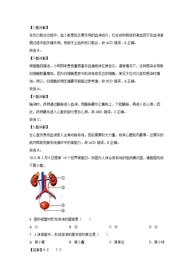 江苏省宿迁市沭阳县2023-2024学年八年级上学期期末生物试卷（解析版）第2页