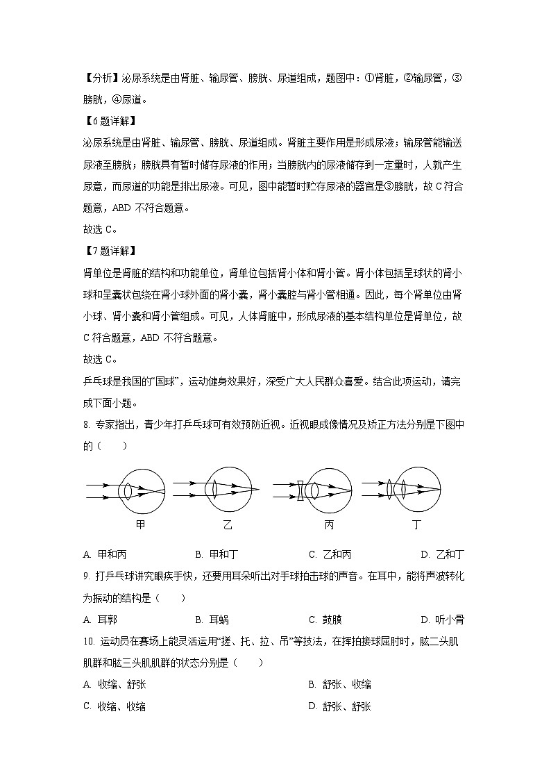 江苏省宿迁市沭阳县2023-2024学年八年级上学期期末生物试卷（解析版）第3页