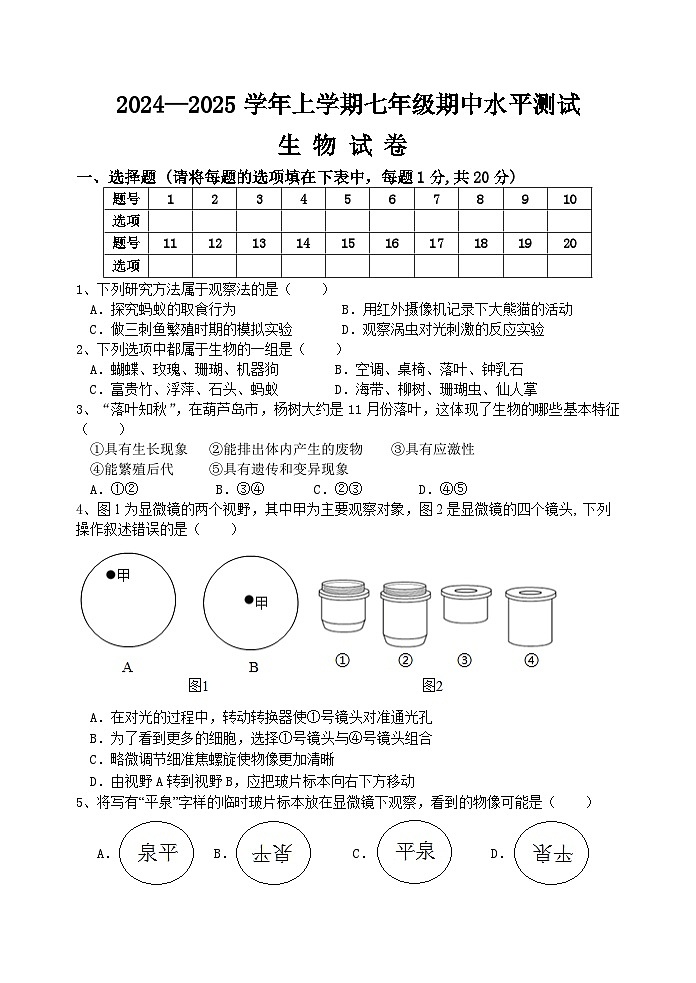 河南省新乡市原阳县2024-2025学年七年级上学期11月期中生物试题01
