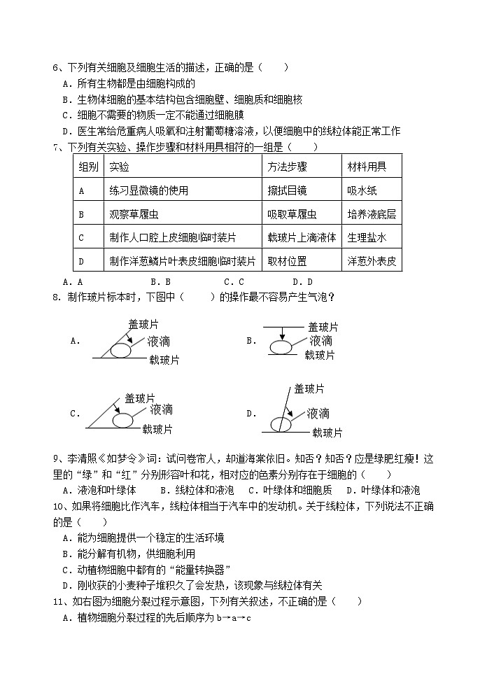 河南省新乡市原阳县2024-2025学年七年级上学期11月期中生物试题02